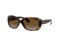 Ray-Ban Jackie Ohh Sunčane Naočale RB 4101 710/T5