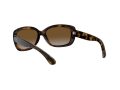 Ray-Ban Jackie Ohh Sunčane Naočale RB 4101 710/T5