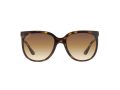 Ray-Ban Cats 1000 Sunčane Naočale RB 4126 710/51