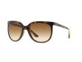 Ray-Ban Cats 1000 Sunčane Naočale RB 4126 710/51