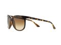 Ray-Ban Cats 1000 Sunčane Naočale RB 4126 710/51