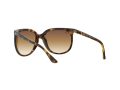 Ray-Ban Cats 1000 Sunčane Naočale RB 4126 710/51