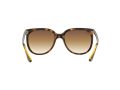 Ray-Ban Cats 1000 Sunčane Naočale RB 4126 710/51