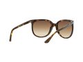 Ray-Ban Cats 1000 Sunčane Naočale RB 4126 710/51