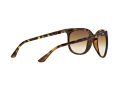 Ray-Ban Cats 1000 Sunčane Naočale RB 4126 710/51