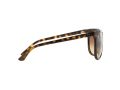 Ray-Ban Cats 1000 Sunčane Naočale RB 4126 710/51