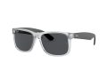 Ray-Ban Justin Sunčane Naočale RB 4165 6512/87