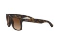 Ray-Ban Justin Sunčane Naočale RB 4165 710/13