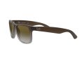 Ray-Ban Justin Sunčane Naočale RB 4165 854/7Z