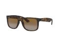 Ray-Ban Justin Sunčane Naočale RB 4165 865/T5