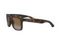 Ray-Ban Justin Sunčane Naočale RB 4165 865/T5