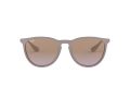 Ray-Ban Erika Sunčane Naočale RB 4171 6000/68