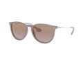 Ray-Ban Erika Sunčane Naočale RB 4171 6000/68