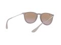 Ray-Ban Erika Sunčane Naočale RB 4171 6000/68