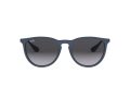 Ray-Ban Erika Sunčane Naočale RB 4171 6002/8G