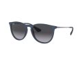 Ray-Ban Erika Sunčane Naočale RB 4171 6002/8G