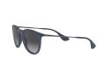 Ray-Ban Erika Sunčane Naočale RB 4171 6002/8G