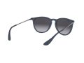Ray-Ban Erika Sunčane Naočale RB 4171 6002/8G