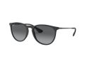 Ray-Ban Erika Sunčane Naočale RB 4171 622/T3
