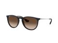 Ray-Ban Erika Sunčane Naočale RB 4171 6315/13
