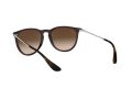 Ray-Ban Erika Sunčane Naočale RB 4171 6315/13