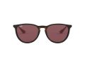 Ray-Ban Erika Sunčane Naočale RB 4171 6391/75