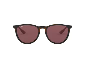 Ray-Ban Erika Sunčane Naočale RB 4171 6391/75