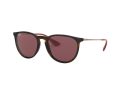 Ray-Ban Erika Sunčane Naočale RB 4171 6391/75