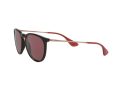 Ray-Ban Erika Sunčane Naočale RB 4171 6391/75