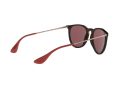 Ray-Ban Erika Sunčane Naočale RB 4171 6391/75