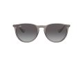Ray-Ban Erika Sunčane Naočale RB 4171 6513/8G