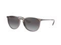 Ray-Ban Erika Sunčane Naočale RB 4171 6513/8G