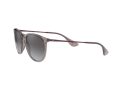 Ray-Ban Erika Sunčane Naočale RB 4171 6513/8G