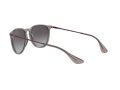 Ray-Ban Erika Sunčane Naočale RB 4171 6513/8G