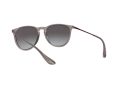 Ray-Ban Erika Sunčane Naočale RB 4171 6513/8G