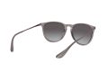 Ray-Ban Erika Sunčane Naočale RB 4171 6513/8G