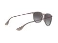 Ray-Ban Erika Sunčane Naočale RB 4171 6513/8G