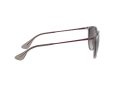 Ray-Ban Erika Sunčane Naočale RB 4171 6513/8G