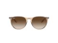 Ray-Ban Erika Sunčane Naočale RB 4171 6514/13