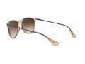 Ray-Ban Erika Sunčane Naočale RB 4171 6514/13