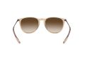 Ray-Ban Erika Sunčane Naočale RB 4171 6514/13