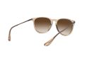 Ray-Ban Erika Sunčane Naočale RB 4171 6514/13