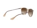 Ray-Ban Erika Sunčane Naočale RB 4171 6514/13