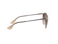 Ray-Ban Erika Sunčane Naočale RB 4171 6514/13