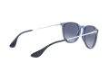 Ray-Ban Erika Sunčane Naočale RB 4171 6515/4L
