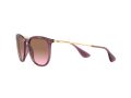Ray-Ban Erika Sunčane Naočale RB 4171 6591/14