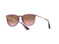 Ray-Ban Erika Sunčane Naočale RB 4171 6591/14