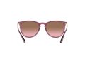 Ray-Ban Erika Sunčane Naočale RB 4171 6591/14