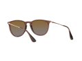 Ray-Ban Erika Sunčane Naočale RB 4171 6593/T5