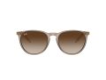 Ray-Ban Erika Sunčane Naočale RB 0RB4171 674413